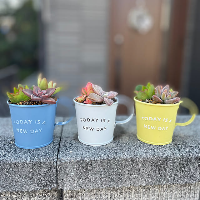 c.cさんの実例写真