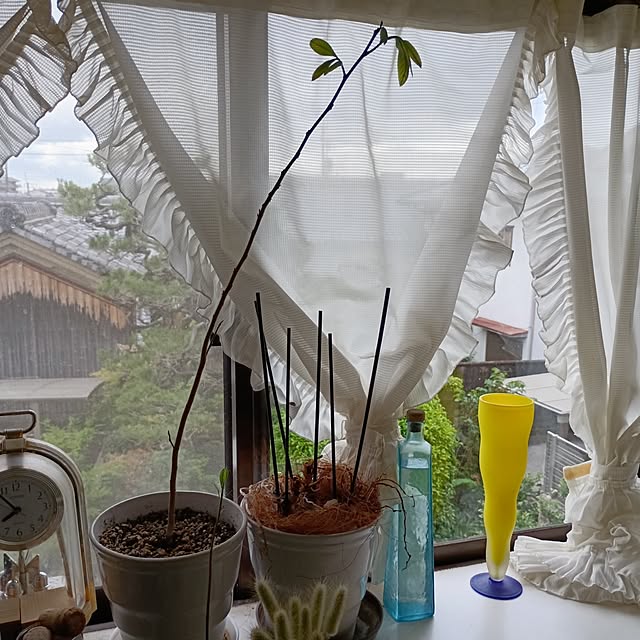 coco1204さんの実例写真