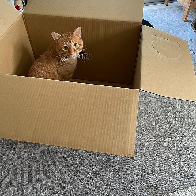 senahさんの部屋