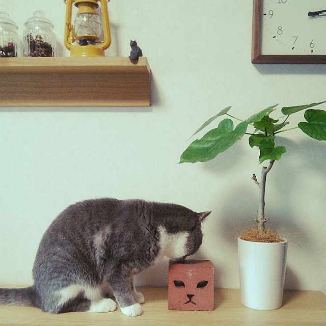 lovepandaさんの実例写真