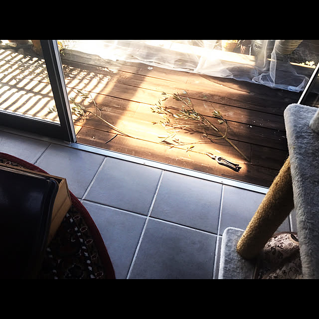 marusanさんの実例写真