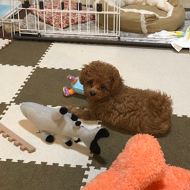 mamiさんの実例写真