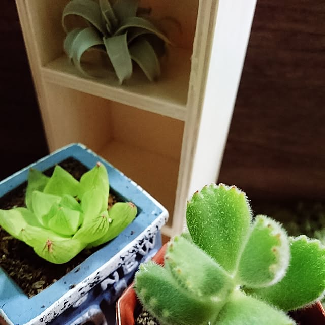 kotorinさんの実例写真