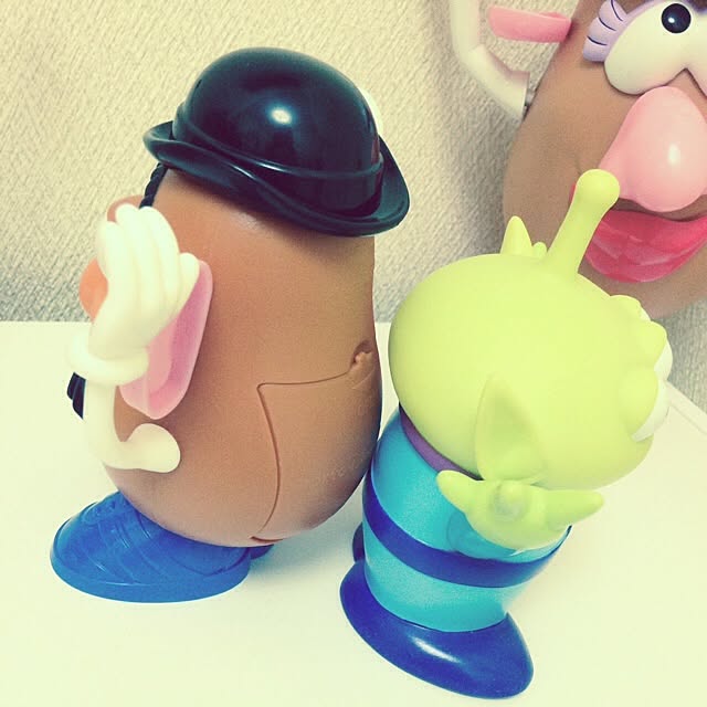 SaRa_Toyさんの実例写真