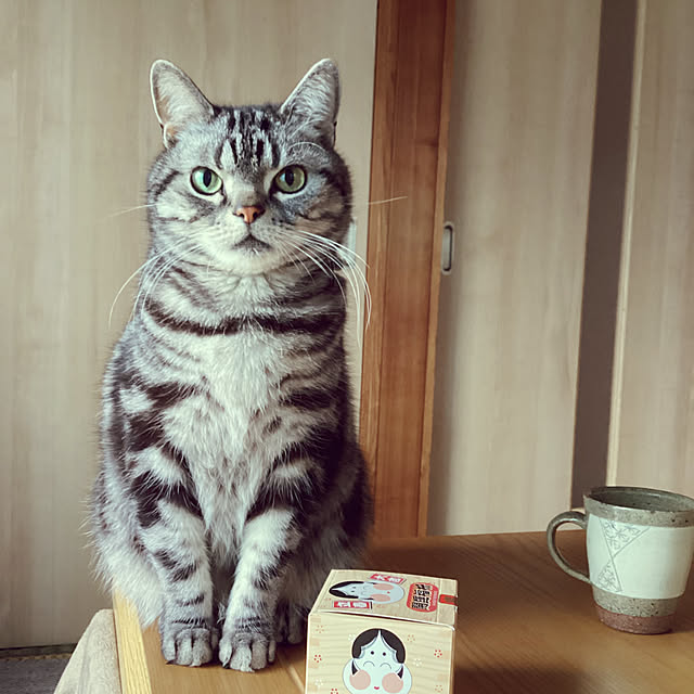 richanさんの実例写真