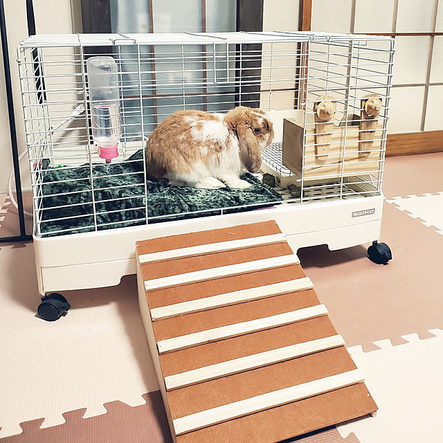 m_geneさんの実例写真