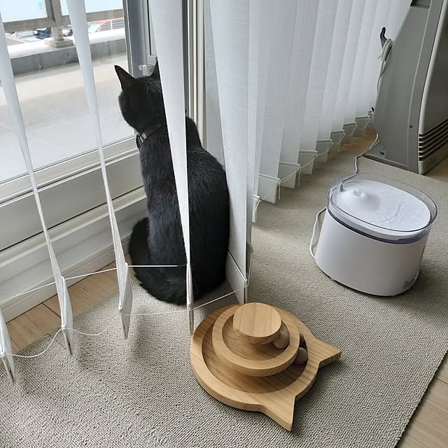 sakuraさんの部屋