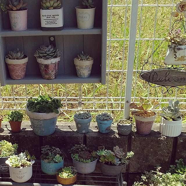 mi-tsuさんの部屋