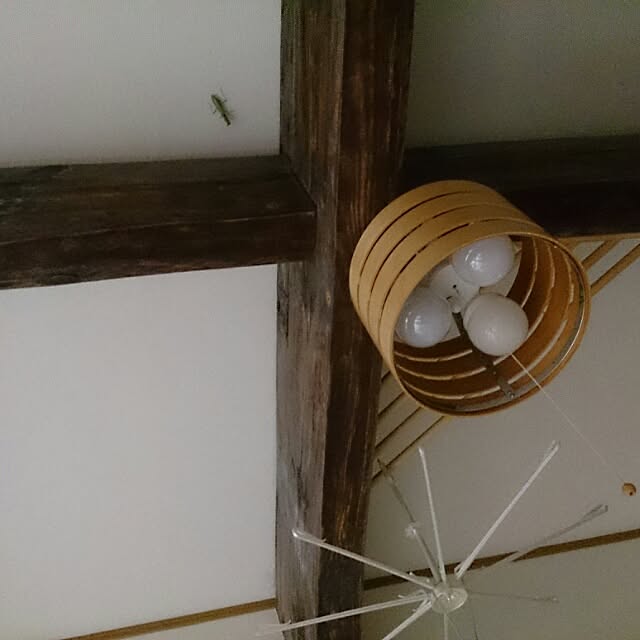 kikuさんの実例写真