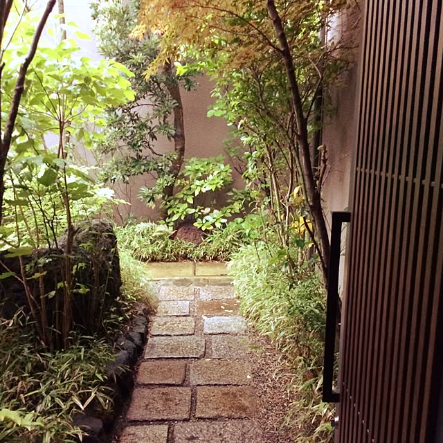 yokkochanさんの実例写真