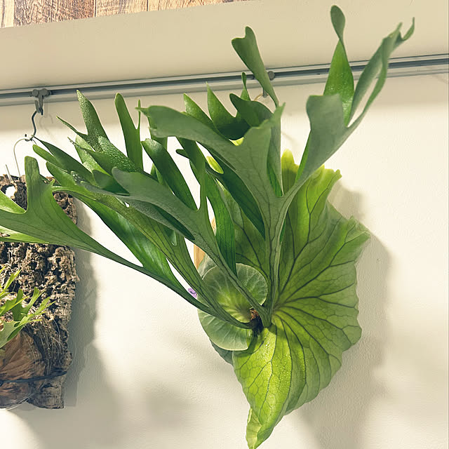 c.kさんの部屋