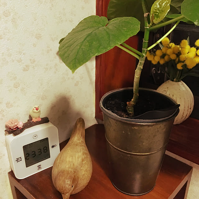 mimichankさんの実例写真