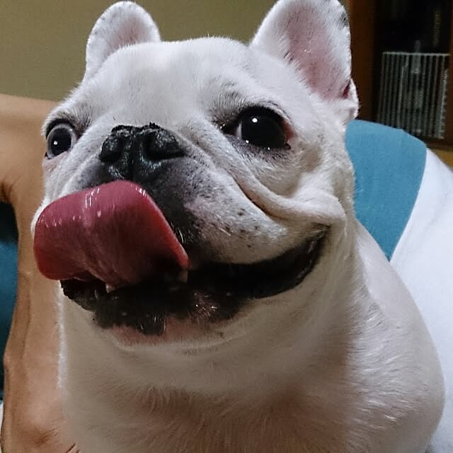 jejejeさんの実例写真