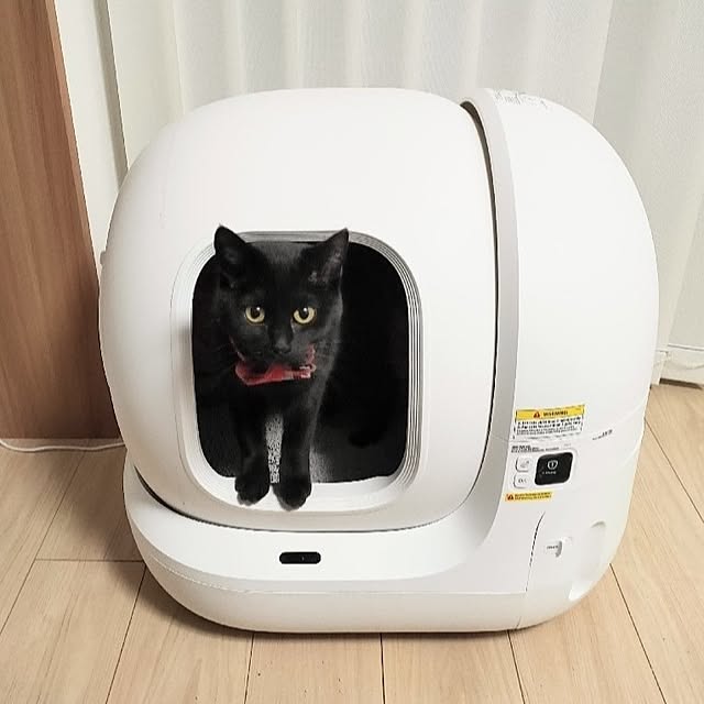 sakuraさんの実例写真