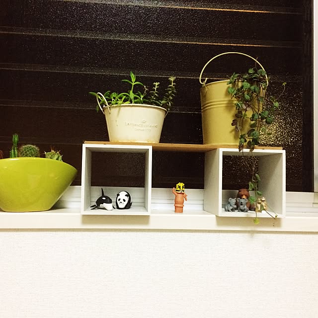 mocomocoさんの実例写真