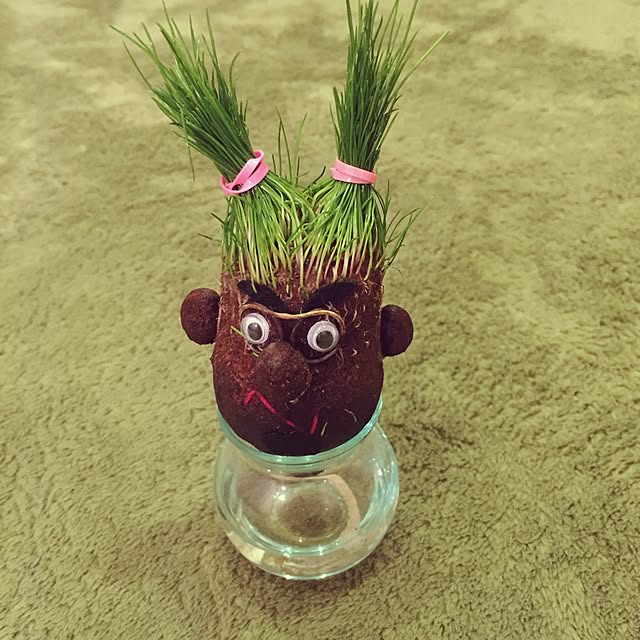 rannnpiiさんの実例写真