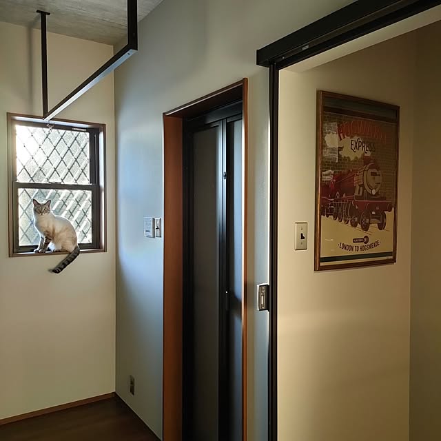 Atelier_tamakiさんの部屋