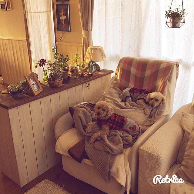 momosukeさんの実例写真