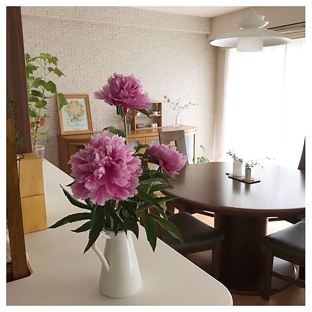 Yoshikoさんの実例写真