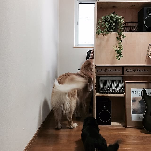 tomowithdogさんの実例写真