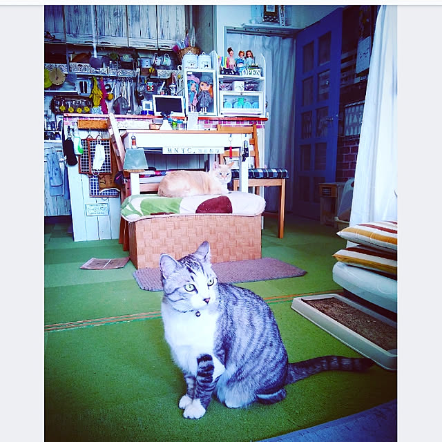 mntcさんの実例写真