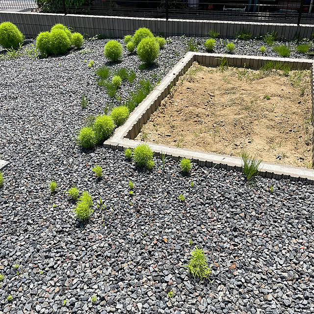 yukayuzuboaさんの部屋