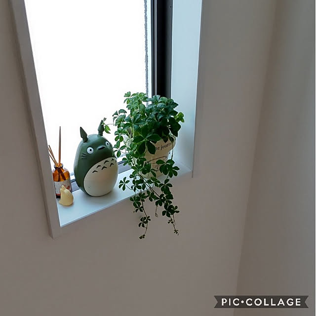 miaoさんの実例写真