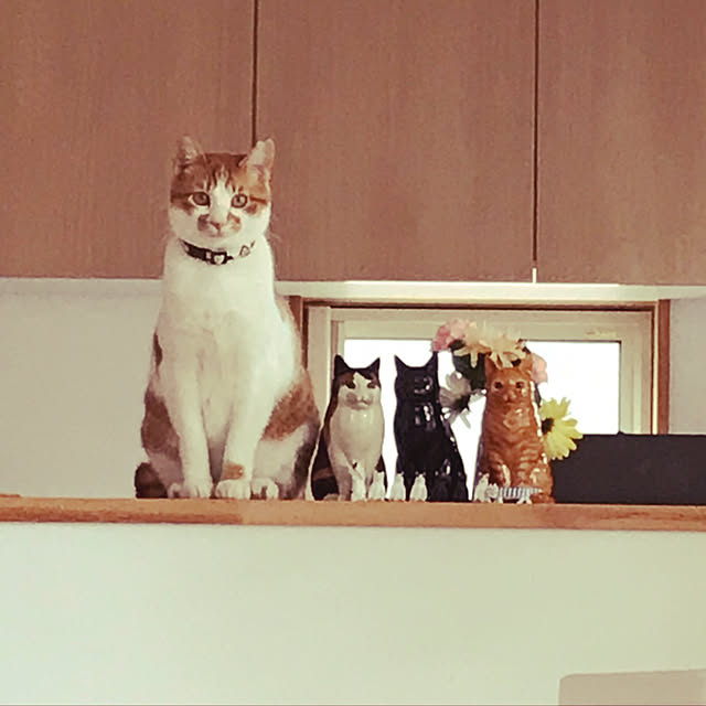 Hirahiraさんの実例写真