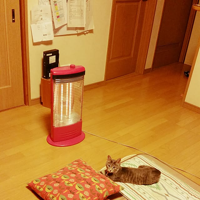 oyumiさんの実例写真