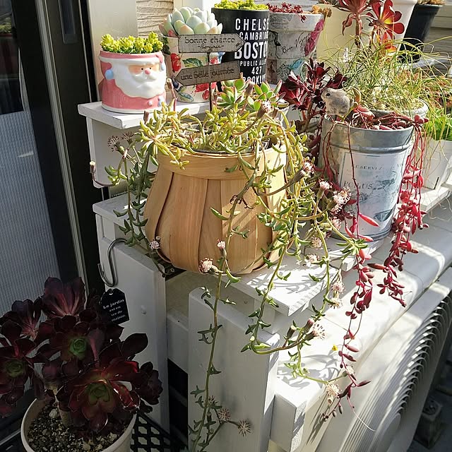 meiさんの実例写真