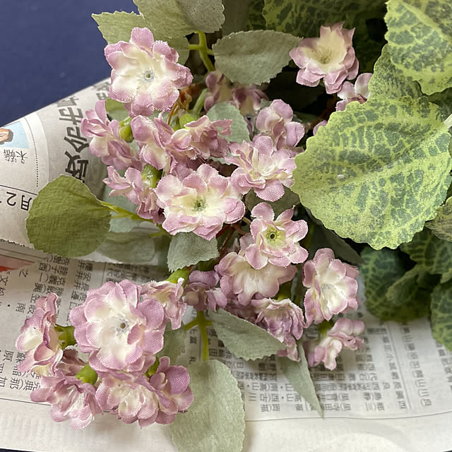 mamizaさんの実例写真