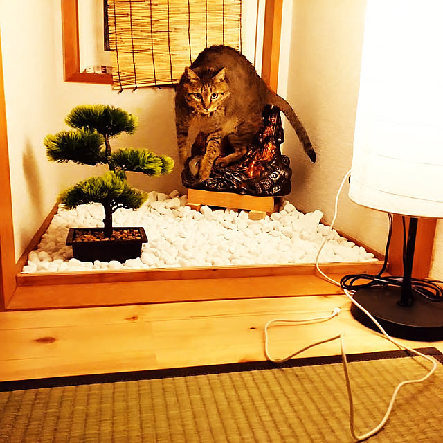 raraさんの実例写真