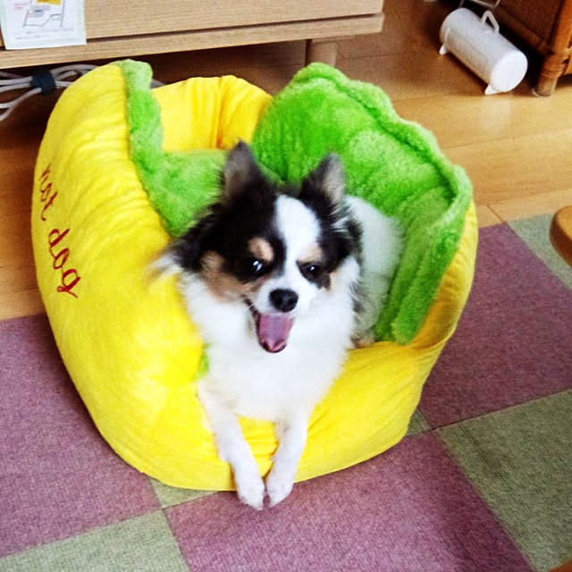 実例写真