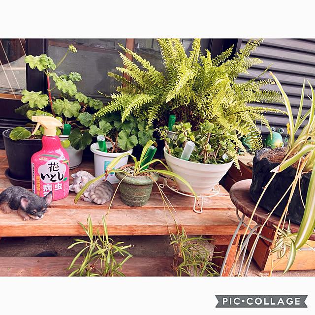 CoCo0617さんの実例写真