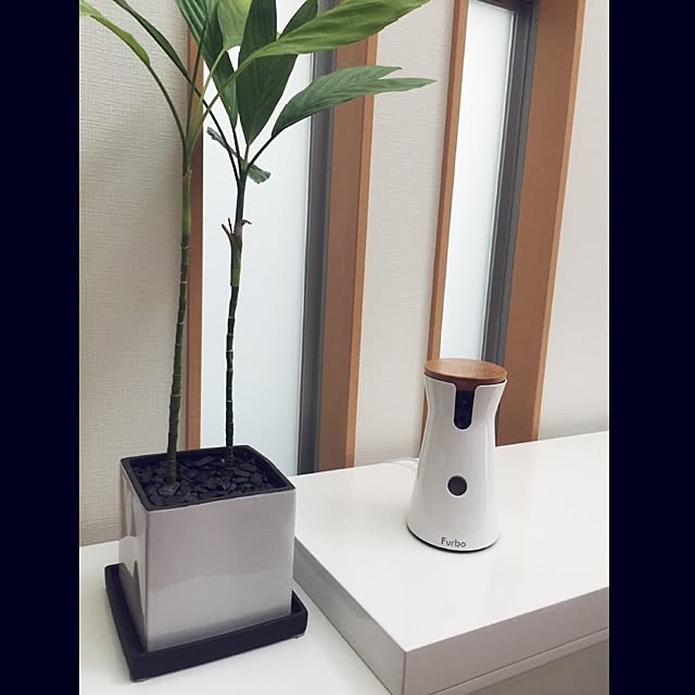 negiさんの実例写真