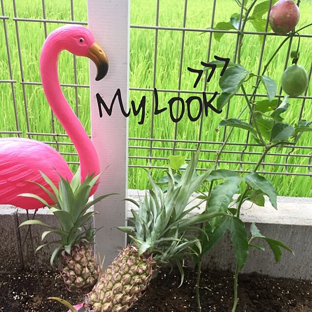 kitoneさんの実例写真