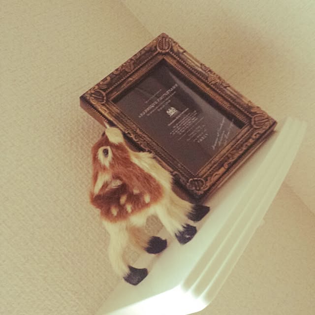 棚のインテリア実例 - 2014-12-29 12:33:39