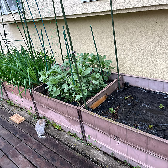 PONさんの部屋