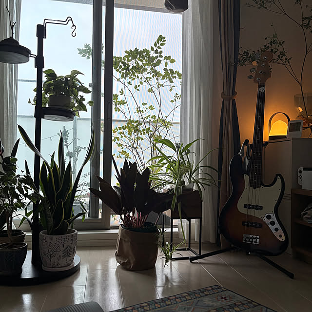busho_no_hahaさんの部屋