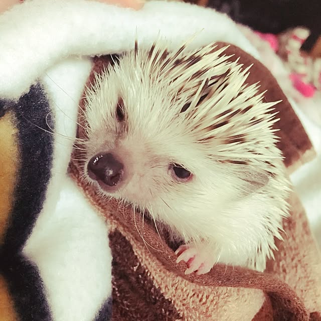 keeeさんの実例写真