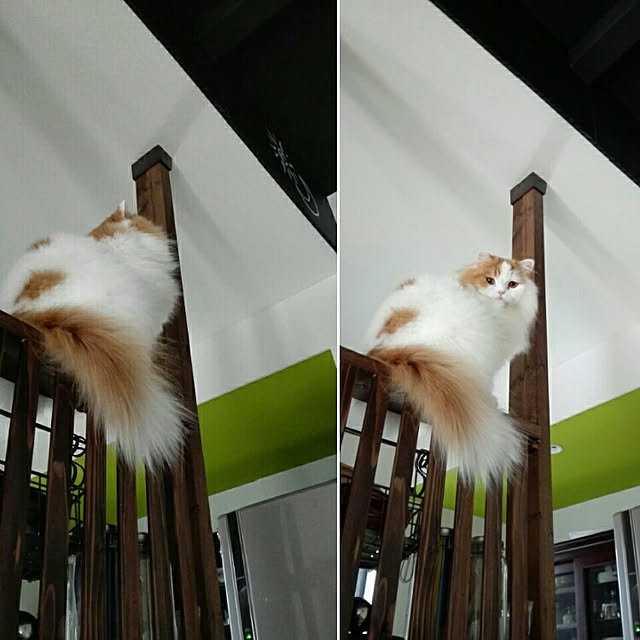 1ldksさんの実例写真