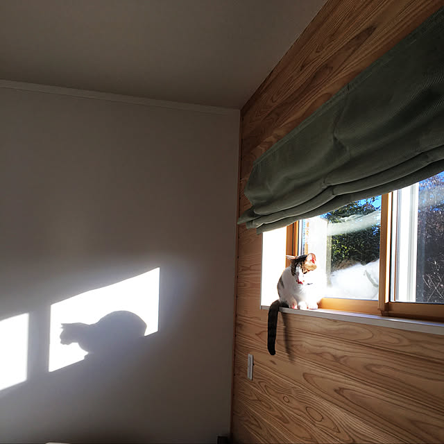 momochiyoさんの実例写真