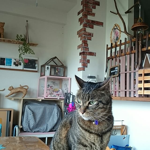 Masamiさんの実例写真