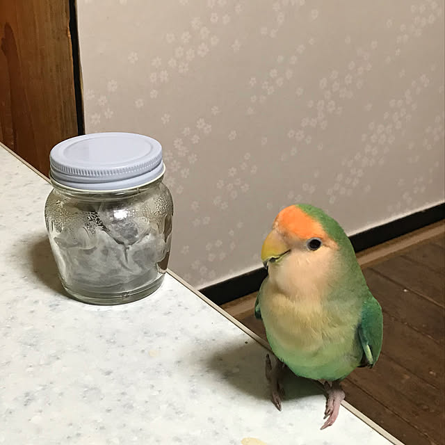 aoinokimiさんの実例写真