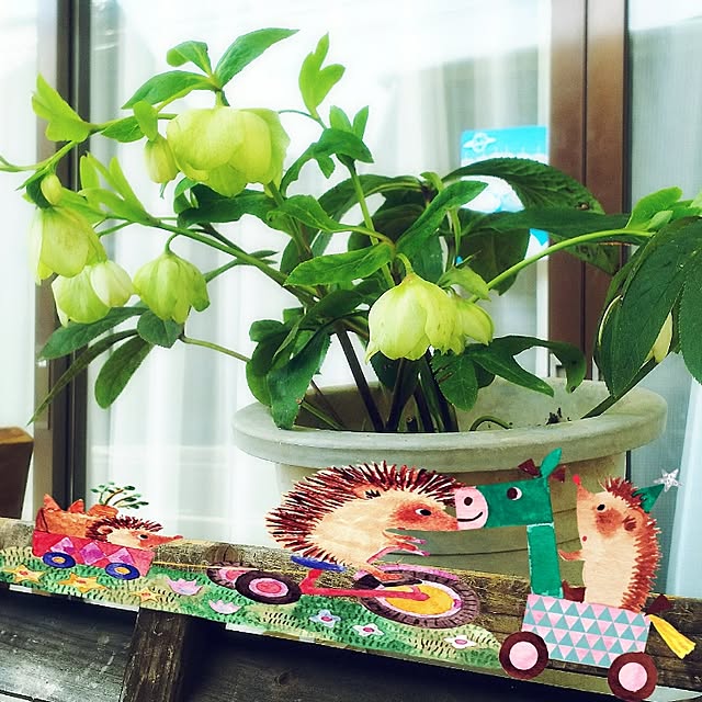 cherrycherryさんの実例写真