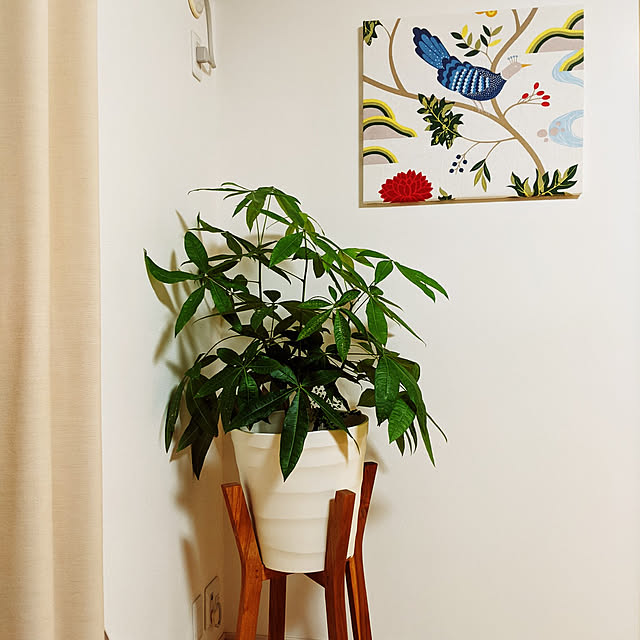 Happyhighbirdさんの実例写真