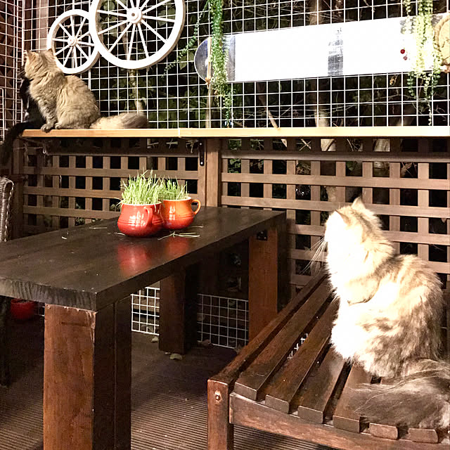 butachanさんの実例写真