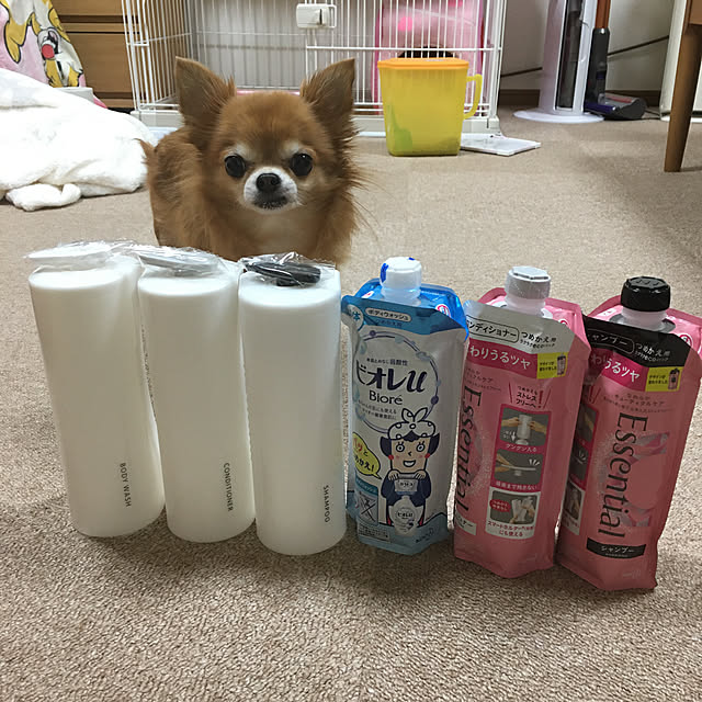 koroさんの実例写真