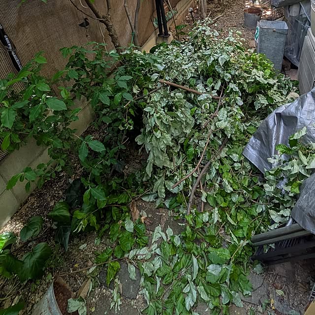 mori_6_12さんの実例写真
