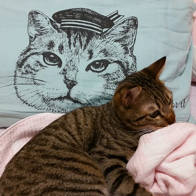 poniさんの実例写真